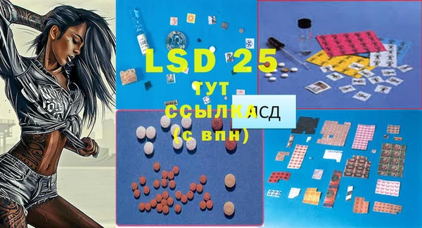 прущие крисы Аркадак