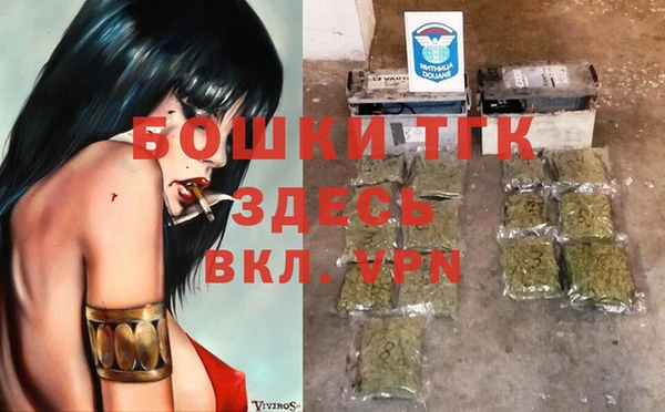 шишки Армянск