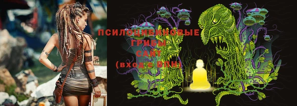 шишки Армянск