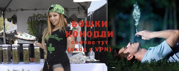 шишки Армянск
